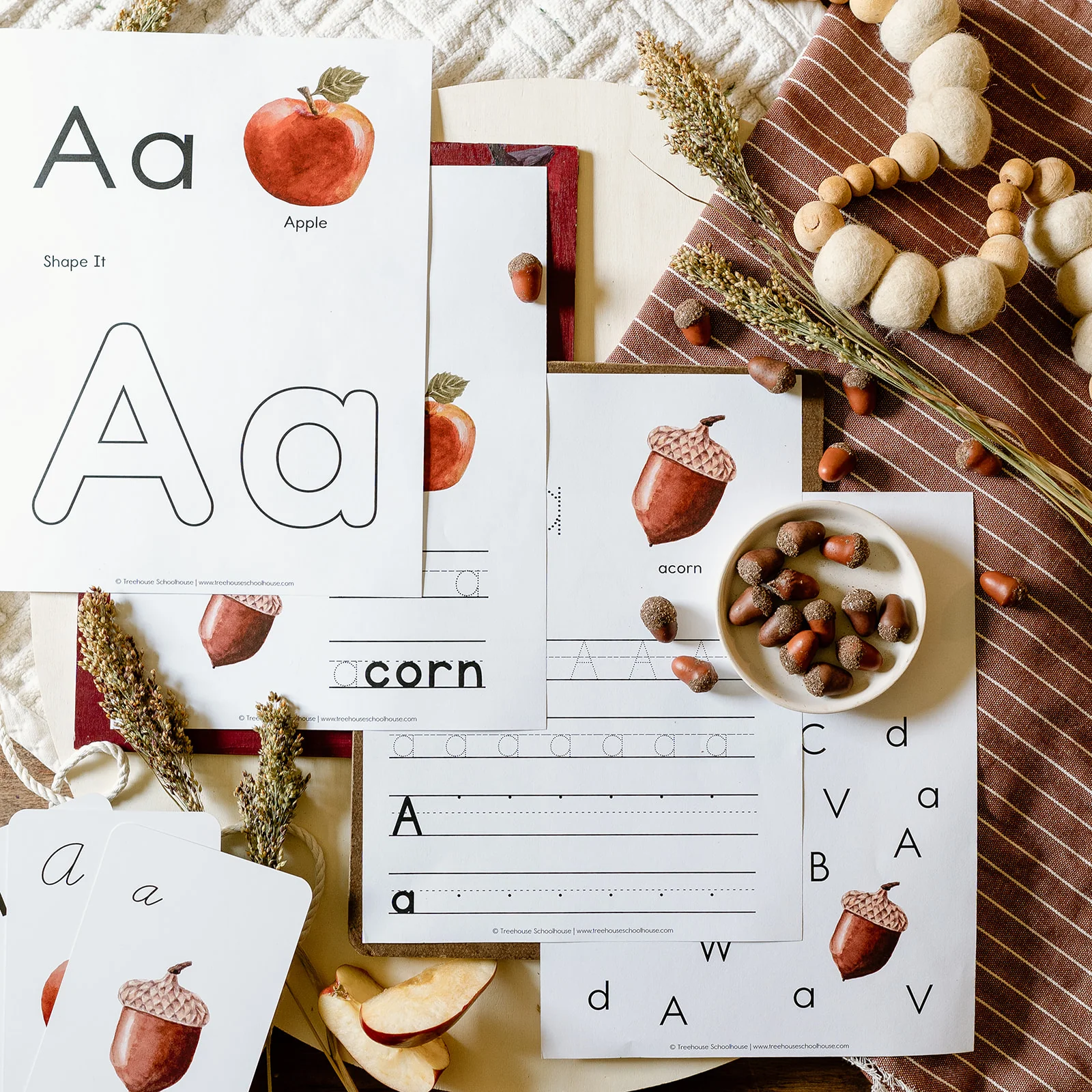 Wonder of Nature Collection